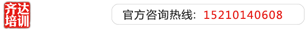 日本婊子的骚屄齐达艺考文化课-艺术生文化课,艺术类文化课,艺考生文化课logo